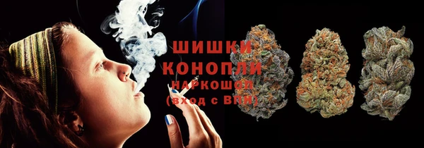 PSILOCYBIN Майский